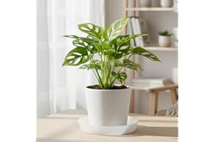 Austin Planter 18 Inch (16.3 Inch Base) Case of 2 Plant Saucers - White Granite Colored Polypropylene – Heavy Duty Indoor/Outdoor – Collects Flower Pot Drainage and Excess Water– Made in USA