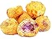 GO OATS Oatmeal Bites Blueberry, 9.2 OZ