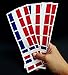 40 Tattoos: French Flag, France Party Favors