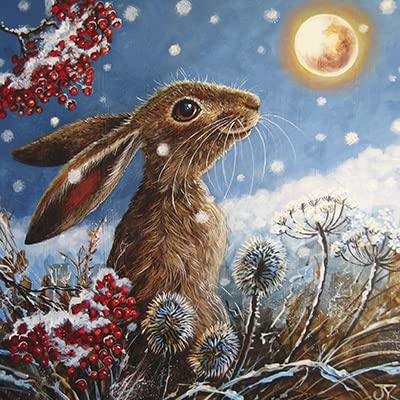 GBCC The Almanac Gallery Pack of 6 Artistic Charity Christmas Cards - 'Happy Festive Hare' - Moon Gazing at Night - From The Great British Card, multi, 141 x 141 mm