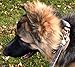 Tactical Dog Collar with Handle 2 Inch Nylon, Metal Quick Release Buckle, Reflective Stitching, Patch Area, Heavy Duty D-Ring, ID Tag Loop, USA Flag, Fits Medium-Large Pet - K9 for Walks or Training