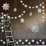 Winter Wonderland Party Decorations, 24pcs 3D Paper Snowflake Hanging Garland Decorations & 6pcs Large Snowflake Decor & Stickers Value Kit for Birthday Christmas Hanging Party Decor Supplies (Silver)