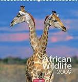 African Wildlife 2009 by