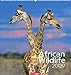 African Wildlife 2009 by