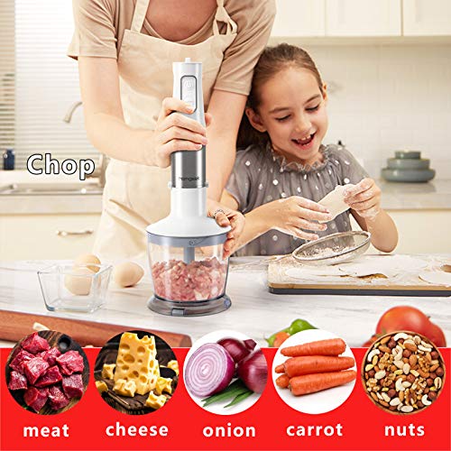 homgeek 5in1 Immersion Hand Blender 500w, 6Speed Stick Handheld