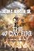 The 40 Day Fire: Burning Away All That Does Not Resemble Your Destiny by Jason C. Johnson Sr., Tiffany D. Johnson