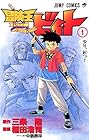 冒険王ビィト ～19巻 （三条陸、稲田浩司）