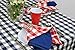 DII Checkered Tabletop Collection 100% Cotton, Machine Washable, Napkin Set, 20x20, Red, 6 Piece