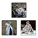 REKOBON Emergency Mylar Space Thermal Blankets (6-Pack) for Outdoors, Hiking, Survival, Bug Out Bag, Marathons or First Aidthumb 4