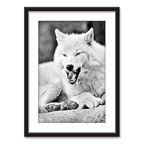 Framed Wall Art - Wolf in Black White - Black Picture Frames White Matting - 23x31 inches