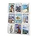 Safco Reveal Literature Rack, 9 Compartments Magazine Holder, Wall-Mounted Brochure Organizer, Acrylic, Clear