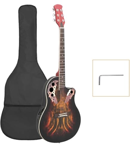 Amazon.com: Applause Traditional AB24-2S Mid Cutaway