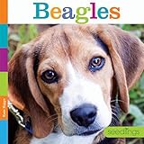 Beagles (Seedlings)
