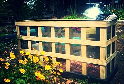 Handcrafted, Upcycled Chick Starter Box (Chick Sterter Box Kit)