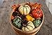 Factory Direct Craft Artificial Autumn Gourds, Pumpkins and Natural Pine Cones - Fall Decorating Kit
