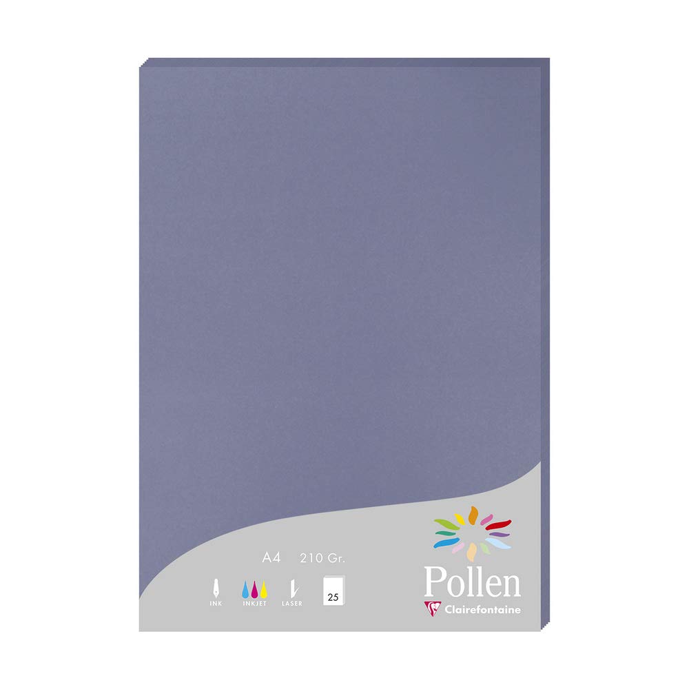 Clairefontaine 24219C Wallet of 25 Sheets Format A4 (21x29,7cm) 210gsm Forget-me-not colour Invitation Paper Events Correspondence Pollen range Premium Paper