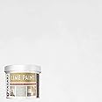 VASARI Lime Plaster & Paint | LIME PAINT | Made from Natural Lime and Powdered Marble | color: Enterprise #19 | size: 1 Quart