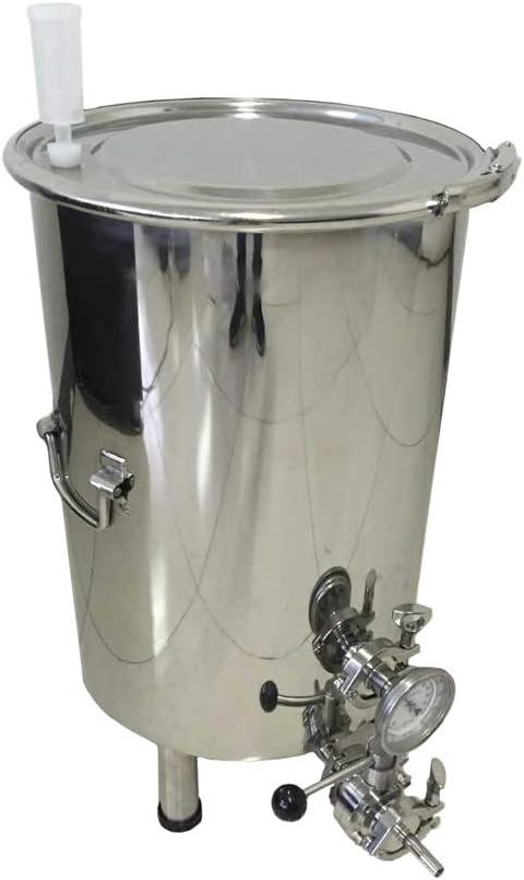 100L single wall fermenter for beermaking (50L)