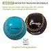 Champion Sports Weighted Training Baseball Set - Rubber Cork Core - Leather Cover - Set of 9 Balls - Graduated Weights - 4 to 12 oz - 9 Inch Diameter