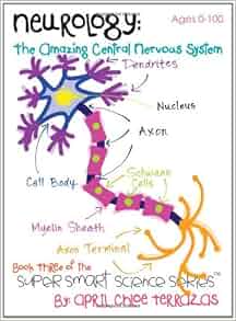 Neurology The Amazing Central Nervous System Super Smart Science Series April Chloe Terrazas