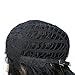 Feibin Synthetic Wigs For Black Women Natural Curly Wavy Style Synthetic Party Cosplay Wigs Natural Black Color 20 Inch