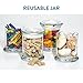 One Fur All Pet Candle Plant-Based, Clean Burning Forest Scented Candle for Pet Odor - Evergreen Forest