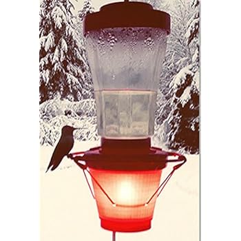 Amazon Com Backyard Bird Centre Hummer Hearth Hummingbird Feeder