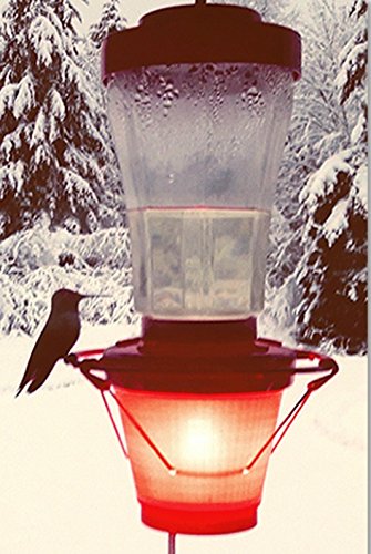 Backyard Bird Centre Hummer Hearth Hummingbird Feeder Heater, Made in The U.S.A. (Feeder NOT Included)