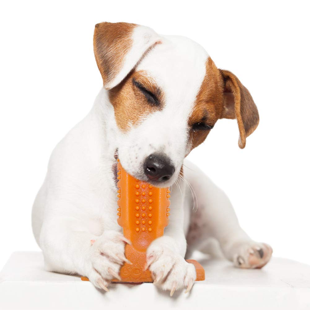 ucho Dog Toothbrush Toy Brushing Stick for Small and Medium,Dog Chew Toys Dental Care Dog Teeth Cleaning, Safe Natural Rubber Bite Resistant