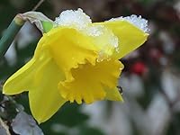 Review Image by Kenneth M Kenneth M