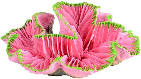 Underwater Treasures Open Brain Coral - Pink - Small