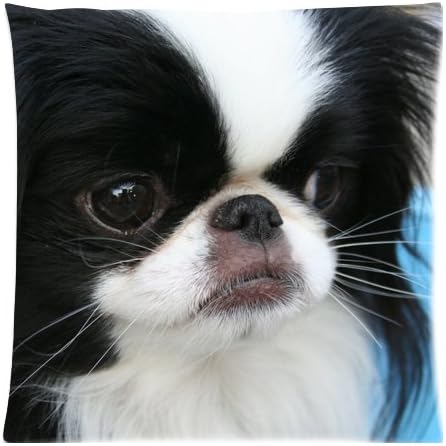 Japanese Chin Al Small Dogs Customized Home Pillow Case Sofa and Bed Pillowcase Art Printing Twin Sides(18"x 18")