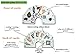 Award-Winning HEBREW ANIMALS Flashcard Game - The ONLY One with Audio …