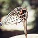 Stainless Steel Whisk Set - Wire Whisk - Balloon Whisk Set - Egg Frother, Milk & Egg Beater - Kitchen Utensils for Blending, Whisking, Beating & Stirring - Set of 3 - by Utopia Kitchen