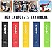 Letsfit Resistance Loop Bands, Resistance Exercise Bands for Home Fitness, Stretching, Strength Training, Physical Therapy, Natural Latex Workout Bands, Pilates Flexbands, 12
