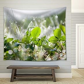 The Morning Dew - Fabric Wall Tapestry Home Decor - 51x60 inches