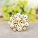 Casualfashion 2Pcs Fashion Rhinestones Pearls Flowers Crystals Wedding Party Shoe Clips (Gold)