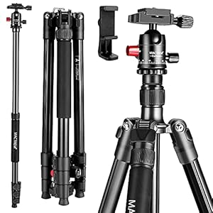 MACTREM Professional Camera Tripod with Phone Mount, 62″ DSLR Tripod for Travel, Super Lightweight and Reliable Stability, Ball Head Tripod Detachable Monopod with Carry Bag (Black)