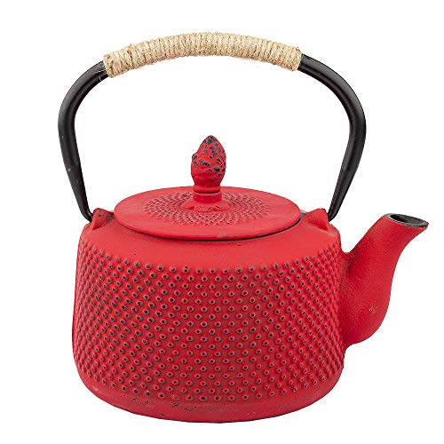 Tea Kettle, Japanese Cast Iron Teapot with Stainless Steel Infuser