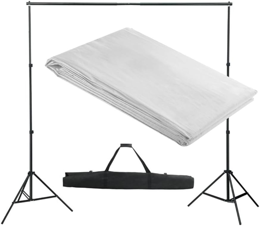 vidaXL Système de Support de Toile de Fond 300x300 cm Blanc Studio