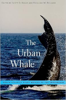 The Urban Whale North Atlantic Right Whales At The