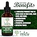 TreeActiv Acne Eliminating Tea Tree Essential Oil, All Natural Blemish Spot Treatment, Men Women and Teens, Treats Mild Moderate Severe Cystic Face Body Back Chest Shoulder Butt Acne (2 fl oz)