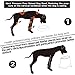 Super Design Elevated Dog Bowl Raised Dog Feeder for Food and Water, Non Spill Edges & Non Skid Sturdy Melamine Stand, Reduce Neck Stress, Less Regurgitating and Vomiting Black