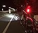 Cycle Torch Fire Stick, 50 Lumens USB Rechargeable Bike Tail Light, RED Rear Bicycle Light, Super-Bright LED Tailllight, Universal Compatibility, Easy to Mount