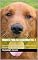 Livro Truques para seu doguinho Vol: 1: "Domine Truques Incríveis e Fortaleça o Vínculo com Seu Doguinho: Guia Prático para o Treinamento Canino"