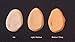 BB Cream Foundation Primer Beautifier All In One That's Perfect for Dry, Sensitive, Normal, Problem Skin Cover, Lightweight with Anti-aging Peptides to Help you Reach to Perfection - Light/Medium