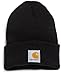 Carhartt Kids' Boys and Girls Acrylic Watch Hat, Caviar Black (Toddler), One Size