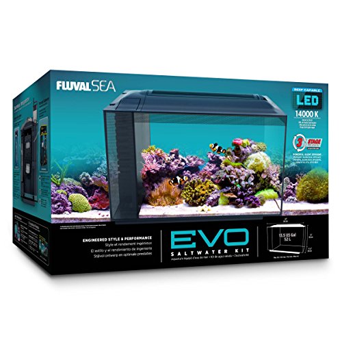 Fluval SEA EVO XII Aquarium - Image 4