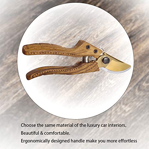 Oara SK-5 Steel Hand Pruners for Garden, Garden pruners Shears, Pruning Shears Garden, Garden Shears Clippers for Plants, Clippers for Garden Work