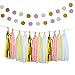 Pistha 30 PCS Bachelorette Party Decorations Party Decoration Paper 8 PCS Tissue Paper Pom Pom 20 PCS Tissue Tassel 2 PCS Garland Polka Dot Paper with Some Golden Lines